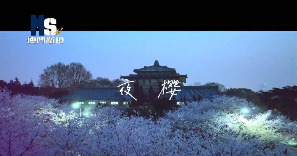 【短视频】武汉大学——夜樱